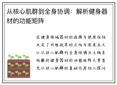 从核心肌群到全身协调：解析健身器材的功能矩阵